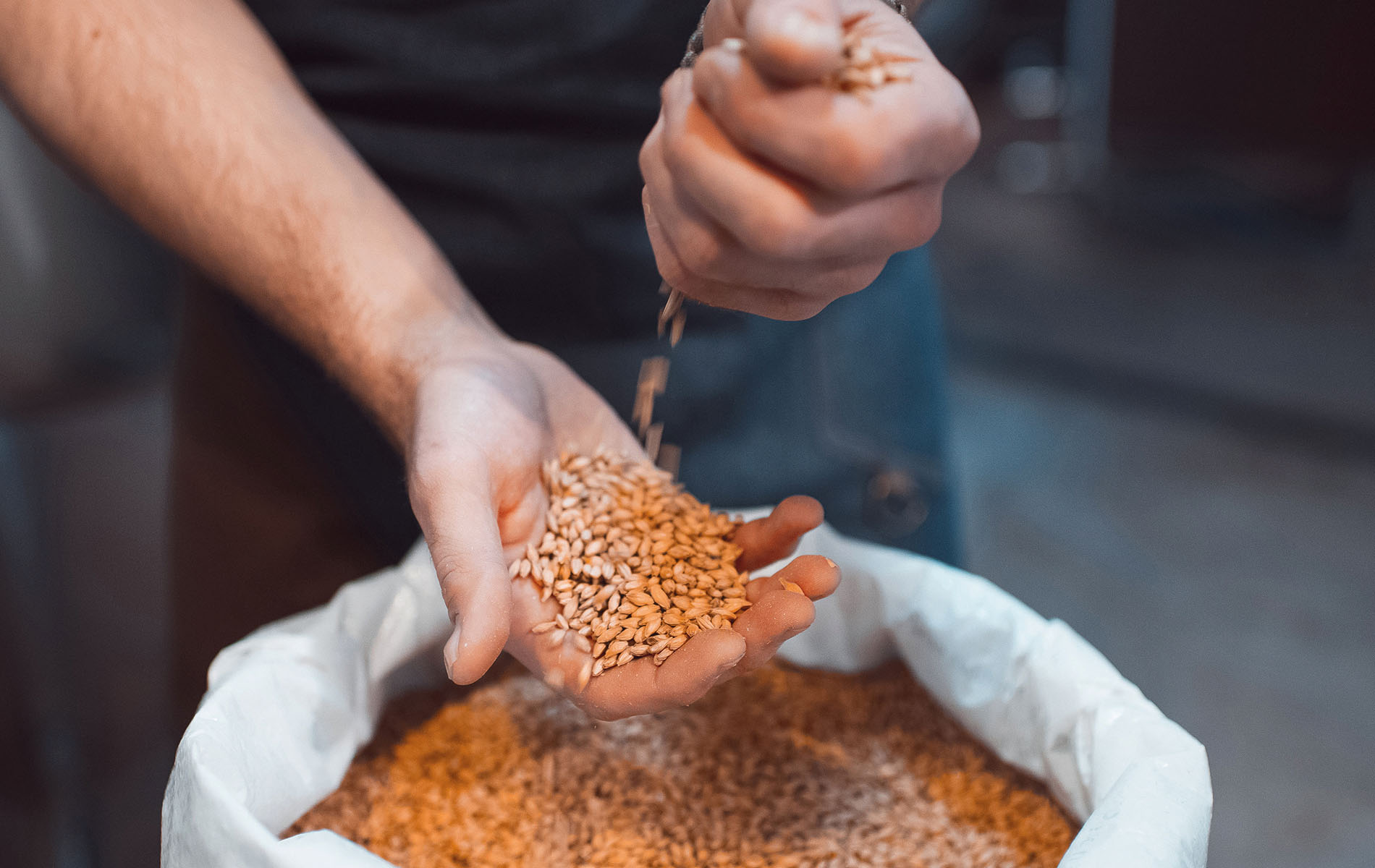 Inventory and Damaged Product Audit of Agro Products