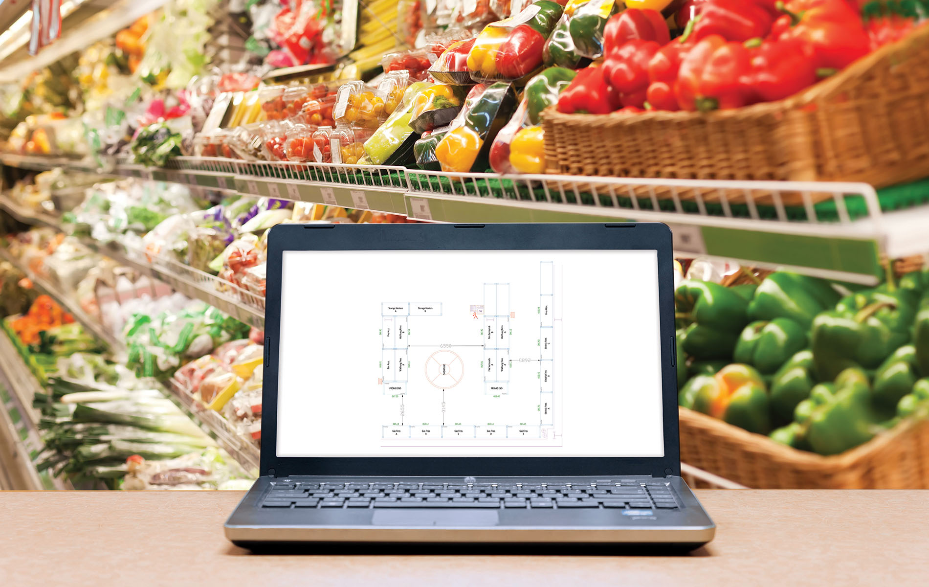 Store Surveys to Create a Merchandise Database